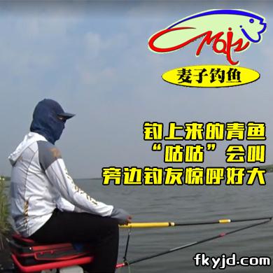 麦子钓鱼 钓上来的青鱼“咕咕”会叫，旁边钓友惊呼好大