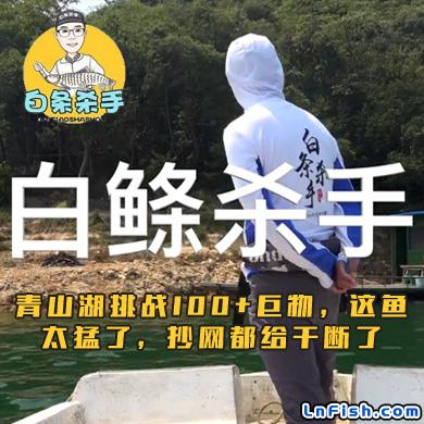 白条杀手 青山湖挑战100+巨物，这鱼太猛了，抄网都给干断了