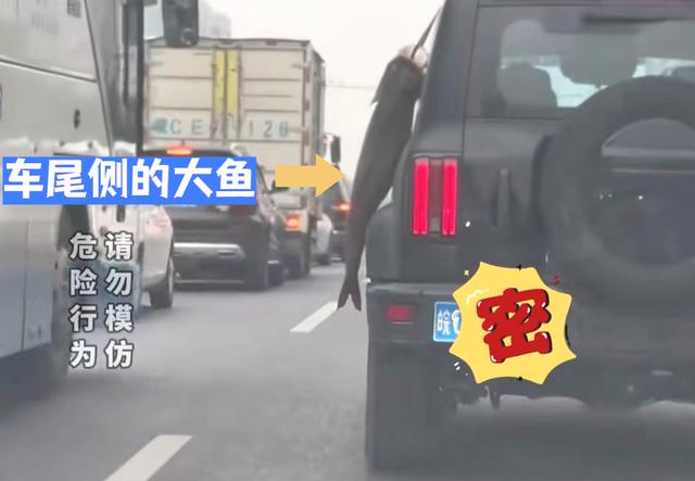 钓界奇观！安徽钓友喜获53斤巨鱼，车尾绑鱼炫耀引热议