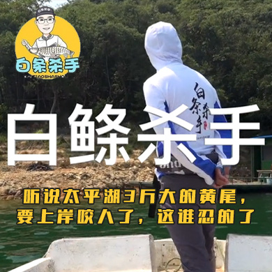 白条杀手 听说太平湖3斤大的黄尾，要上岸咬人了，这谁忍的了